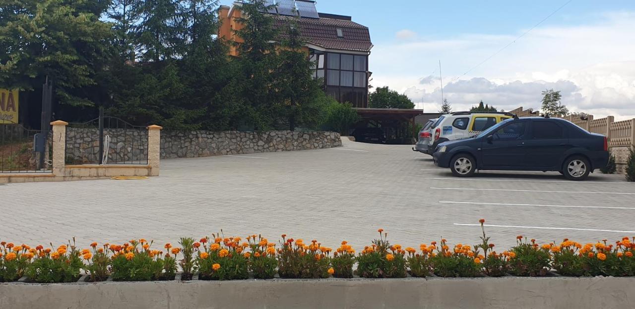 Pensiunea Carmena Băile Felix Exteriör bild