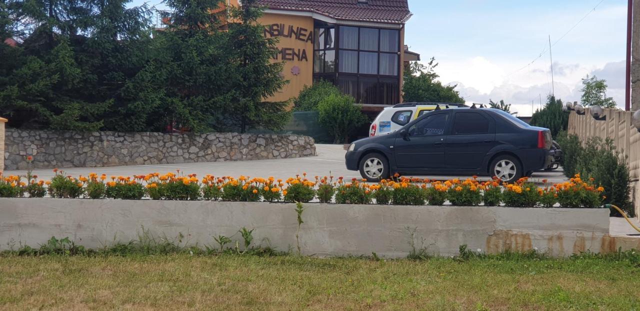 Pensiunea Carmena Băile Felix Exteriör bild