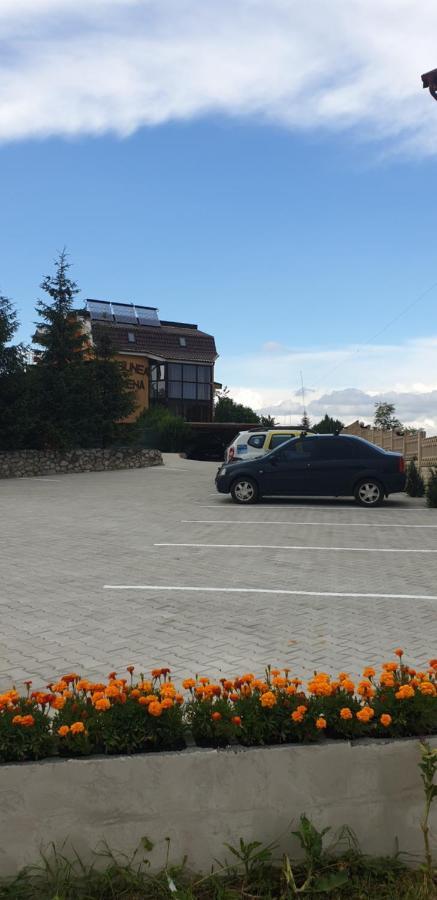 Pensiunea Carmena Băile Felix Exteriör bild