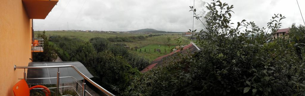 Pensiunea Carmena Băile Felix Exteriör bild